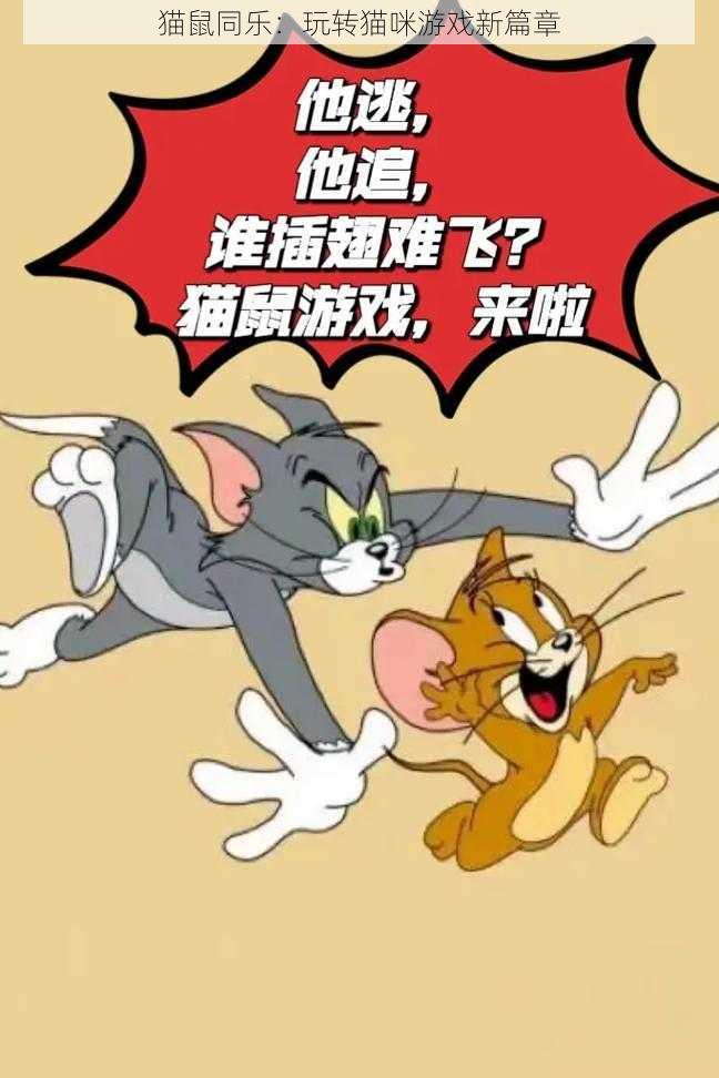 猫鼠同乐：玩转猫咪游戏新篇章