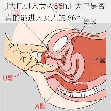 Ji大巴进入女人66h,Ji 大巴是否真的能进入女人的 66h？