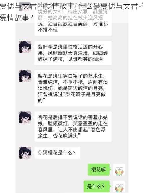 贾偲与女君的爱情故事_什么是贾偲与女君的爱情故事？