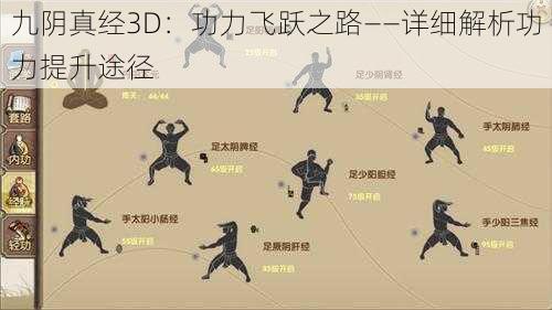 九阴真经3D：功力飞跃之路——详细解析功力提升途径