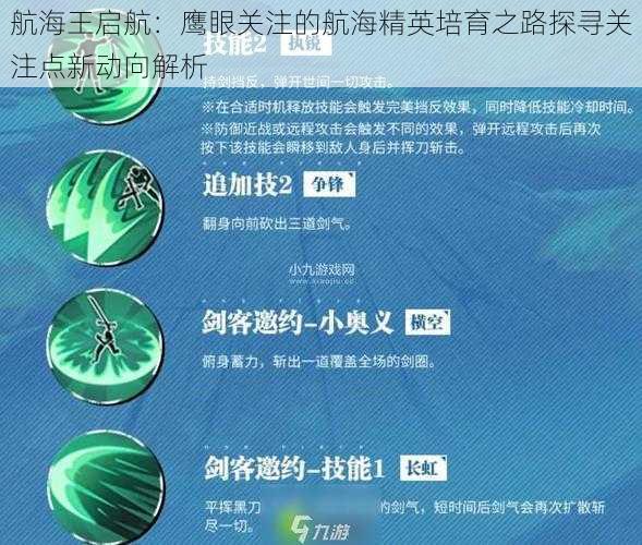 航海王启航：鹰眼关注的航海精英培育之路探寻关注点新动向解析