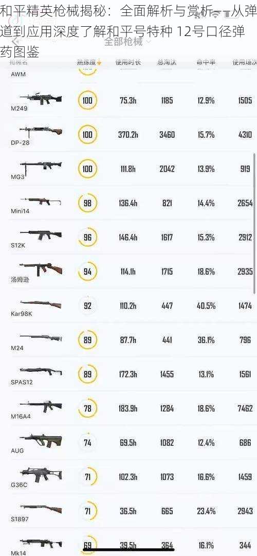 和平精英枪械揭秘：全面解析与赏析——从弹道到应用深度了解和平号特种 12号口径弹药图鉴