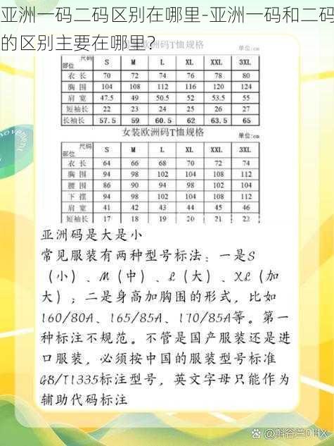 亚洲一码二码区别在哪里-亚洲一码和二码的区别主要在哪里？