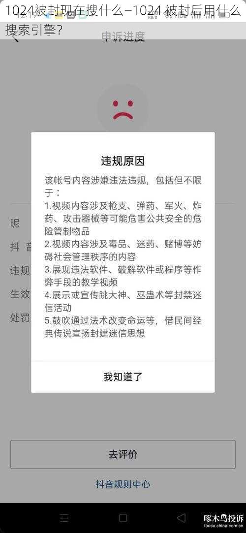 1024被封现在搜什么—1024 被封后用什么搜索引擎？