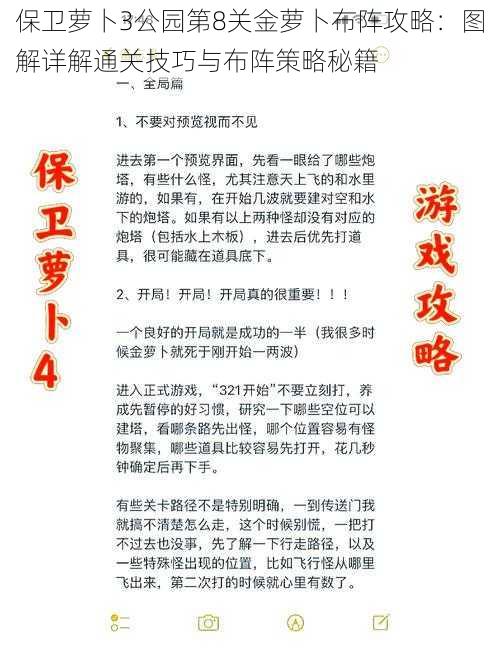 保卫萝卜3公园第8关金萝卜布阵攻略：图解详解通关技巧与布阵策略秘籍