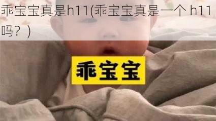 乖宝宝真是h11(乖宝宝真是一个 h11 吗？)