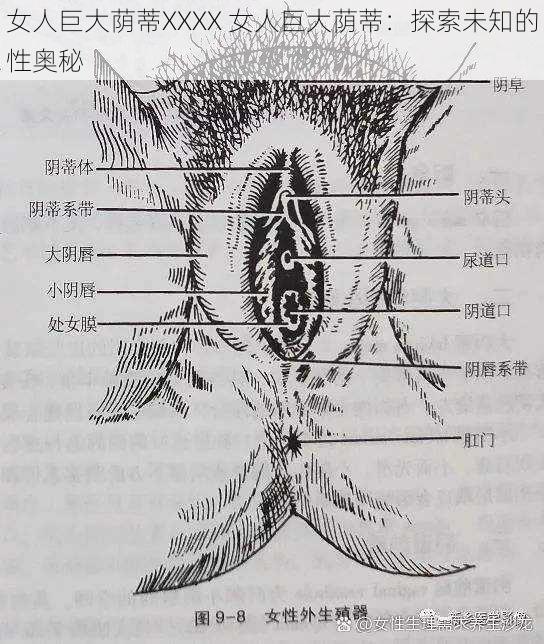 女人巨大荫蒂XXXX 女人巨大荫蒂：探索未知的性奥秘