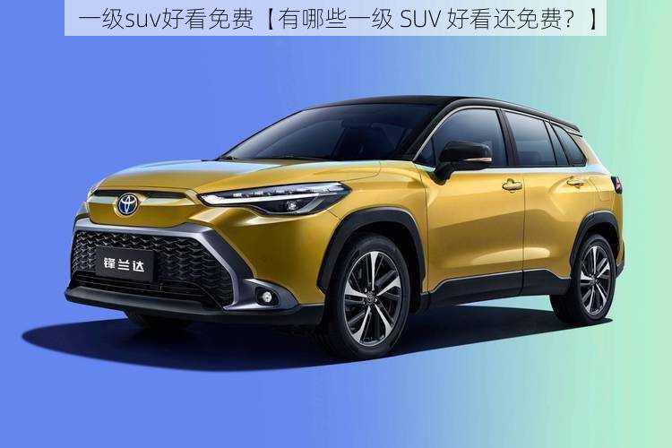 一级suv好看免费【有哪些一级 SUV 好看还免费？】