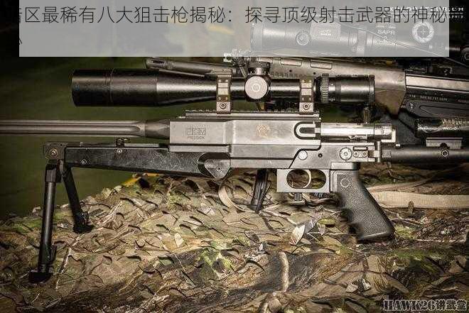 暗区最稀有八大狙击枪揭秘：探寻顶级射击武器的神秘面纱