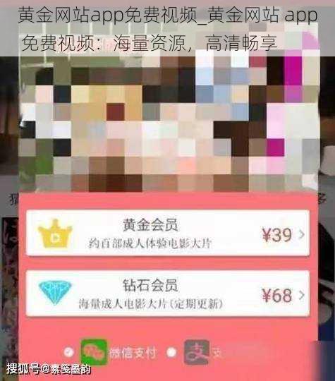 黄金网站app免费视频_黄金网站 app 免费视频：海量资源，高清畅享