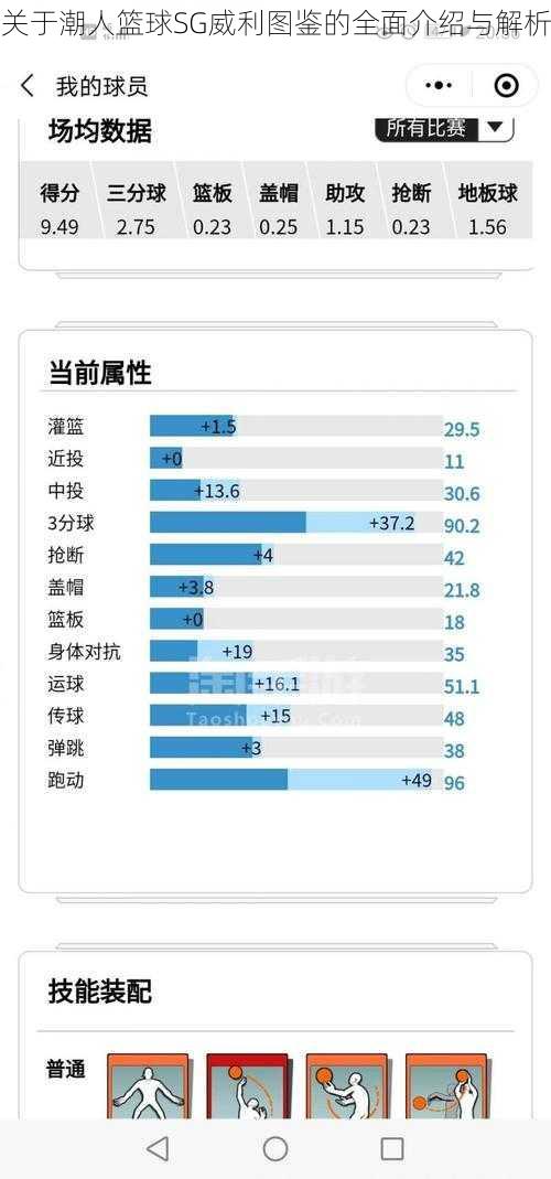 关于潮人篮球SG威利图鉴的全面介绍与解析