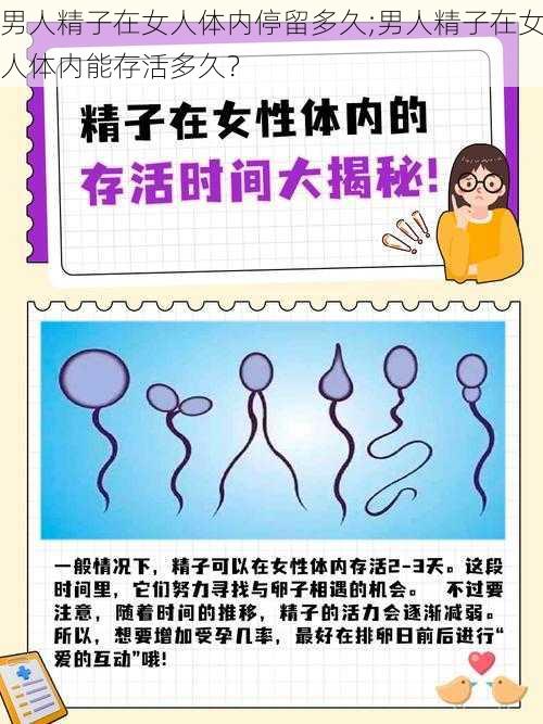 男人精子在女人体内停留多久;男人精子在女人体内能存活多久？