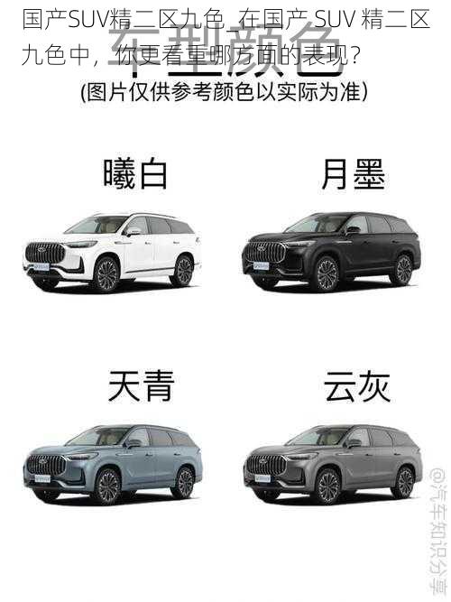 国产SUV精二区九色_在国产 SUV 精二区九色中，你更看重哪方面的表现？