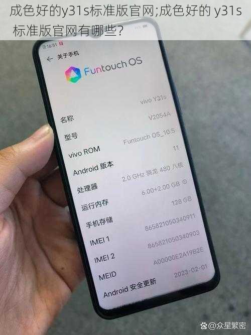 成色好的y31s标准版官网;成色好的 y31s 标准版官网有哪些？