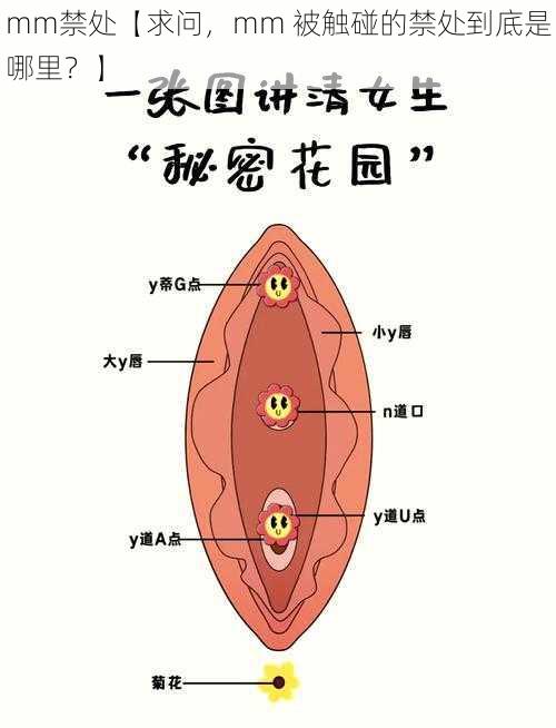 mm禁处【求问，mm 被触碰的禁处到底是哪里？】