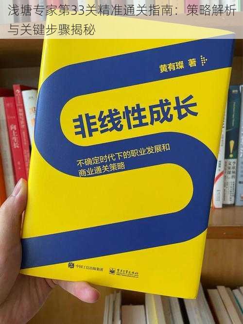 浅塘专家第33关精准通关指南：策略解析与关键步骤揭秘