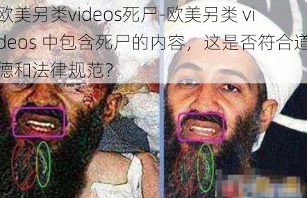 欧美另类videos死尸-欧美另类 videos 中包含死尸的内容，这是否符合道德和法律规范？