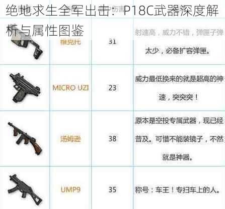 绝地求生全军出击：P18C武器深度解析与属性图鉴