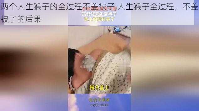 两个人生猴子的全过程不盖被子,人生猴子全过程，不盖被子的后果