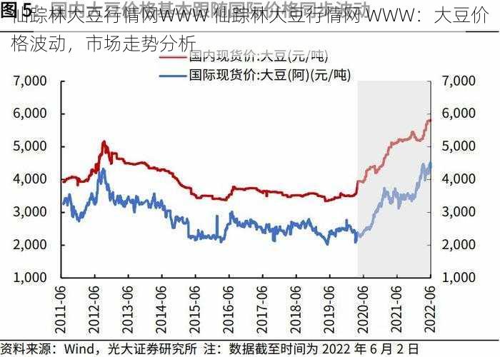 仙踪林大豆行情网WWW 仙踪林大豆行情网 WWW：大豆价格波动，市场走势分析