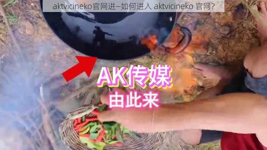 aktvicineko官网进—如何进入 aktvicineko 官网？