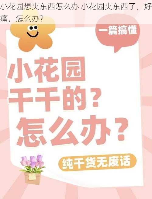 小花园想夹东西怎么办 小花园夹东西了，好痛，怎么办？