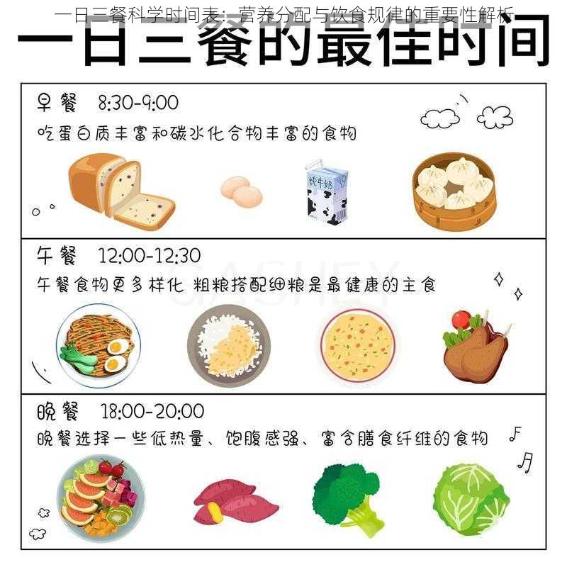 一日三餐科学时间表：营养分配与饮食规律的重要性解析