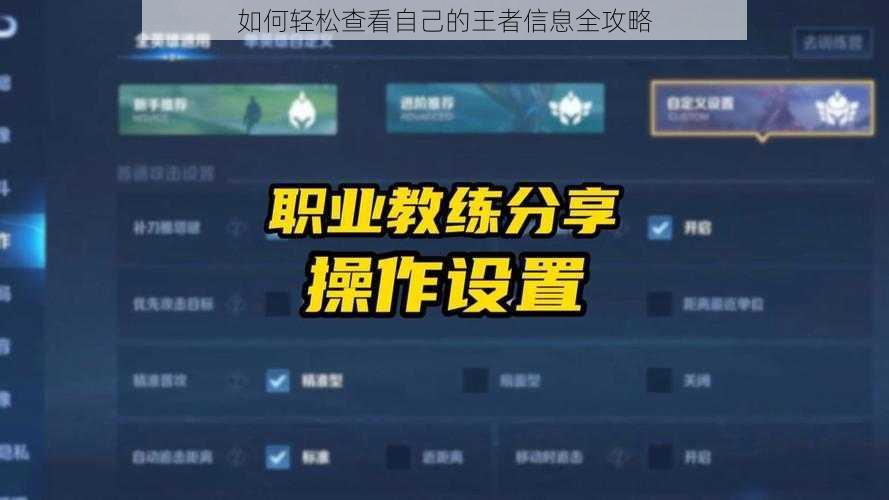 如何轻松查看自己的王者信息全攻略