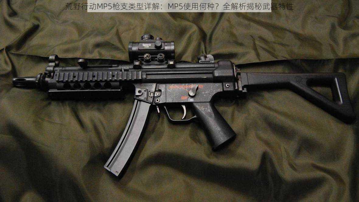 荒野行动MP5枪支类型详解：MP5使用何种？全解析揭秘武器特性