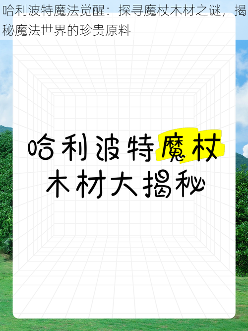 哈利波特魔法觉醒：探寻魔杖木材之谜，揭秘魔法世界的珍贵原料