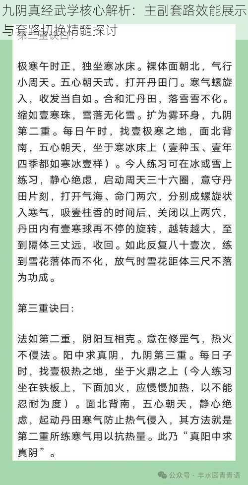 九阴真经武学核心解析：主副套路效能展示与套路切换精髓探讨