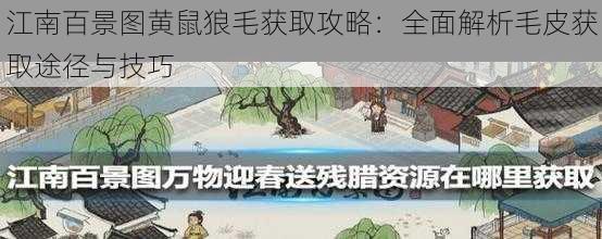 江南百景图黄鼠狼毛获取攻略：全面解析毛皮获取途径与技巧