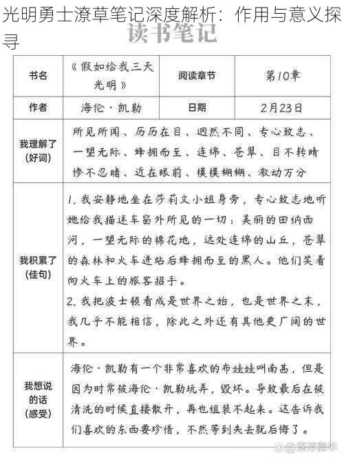 光明勇士潦草笔记深度解析：作用与意义探寻