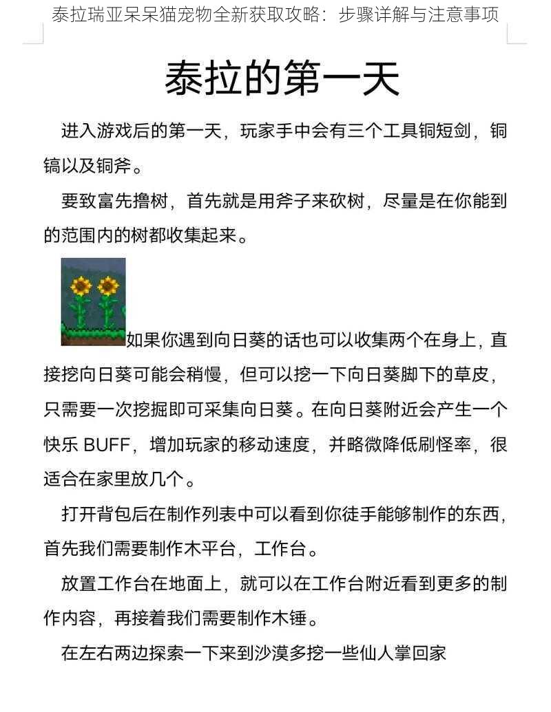 泰拉瑞亚呆呆猫宠物全新获取攻略：步骤详解与注意事项